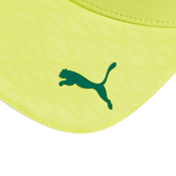 PUMA Aston Martin Alonso Men Cap Green 026928 01