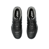 Asics DS Light Advance Pro Men Football Boots Black 1103A098-001