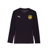 PUMA FAM Harimau Malaya teamGOAL Men Jersey Black 946497 03