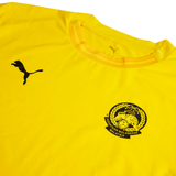 PUMA FAM Harimau Malaya Pre-match Men Training Jersey Yellow 949167 07