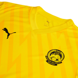 PUMA FAM Harimau Malaya Stadium Men Training Jersey Yellow 949168 07