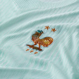 NIKE France Authentic Away Men Jersey Green IB5200-394