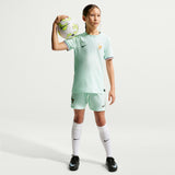 NIKE France Stadium Away 2026 Jr B Replica Jersey Green IB5202-394