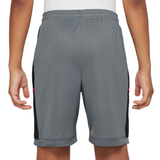 NIKE Academy Junior Shorts Grey HJ3718-066