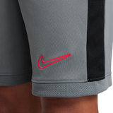 NIKE Academy Junior Shorts Grey HJ3718-066