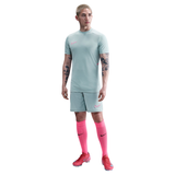 NIKE Academy Men's Training Jersey Green HJ3792-395