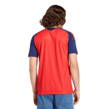 Adidas Spain Home 2026 Men's Replica Jersey Red JN4390