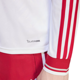 ADIDAS Liverpool 26/27 Away Longsleeve Fan Issue Men Replica Jersey White KB8292